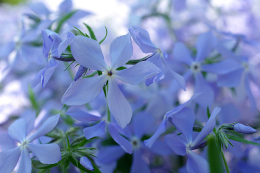 840794 (a): :2000x1330